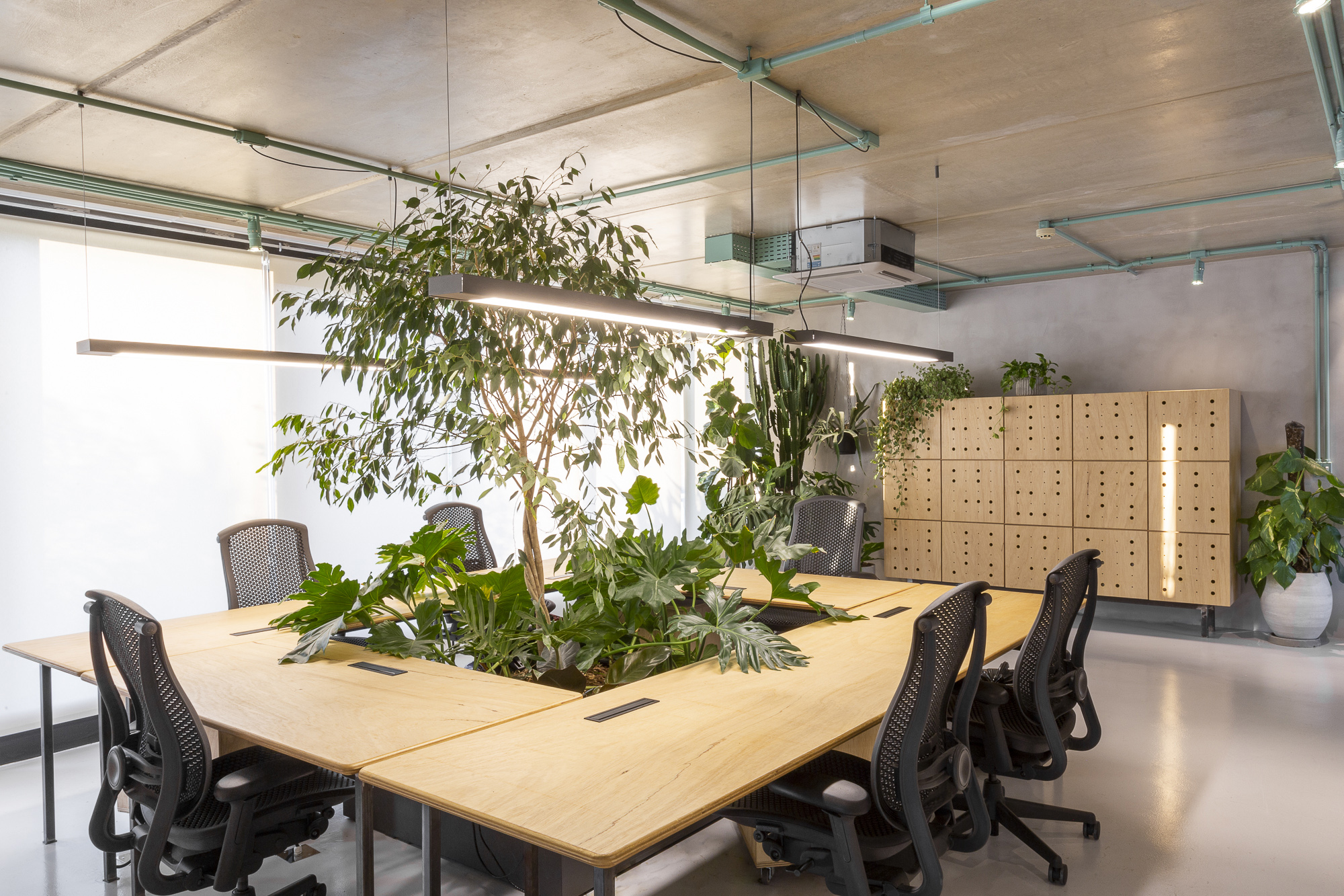 UMDESIGNSTUDIO_RIZOMAII_06