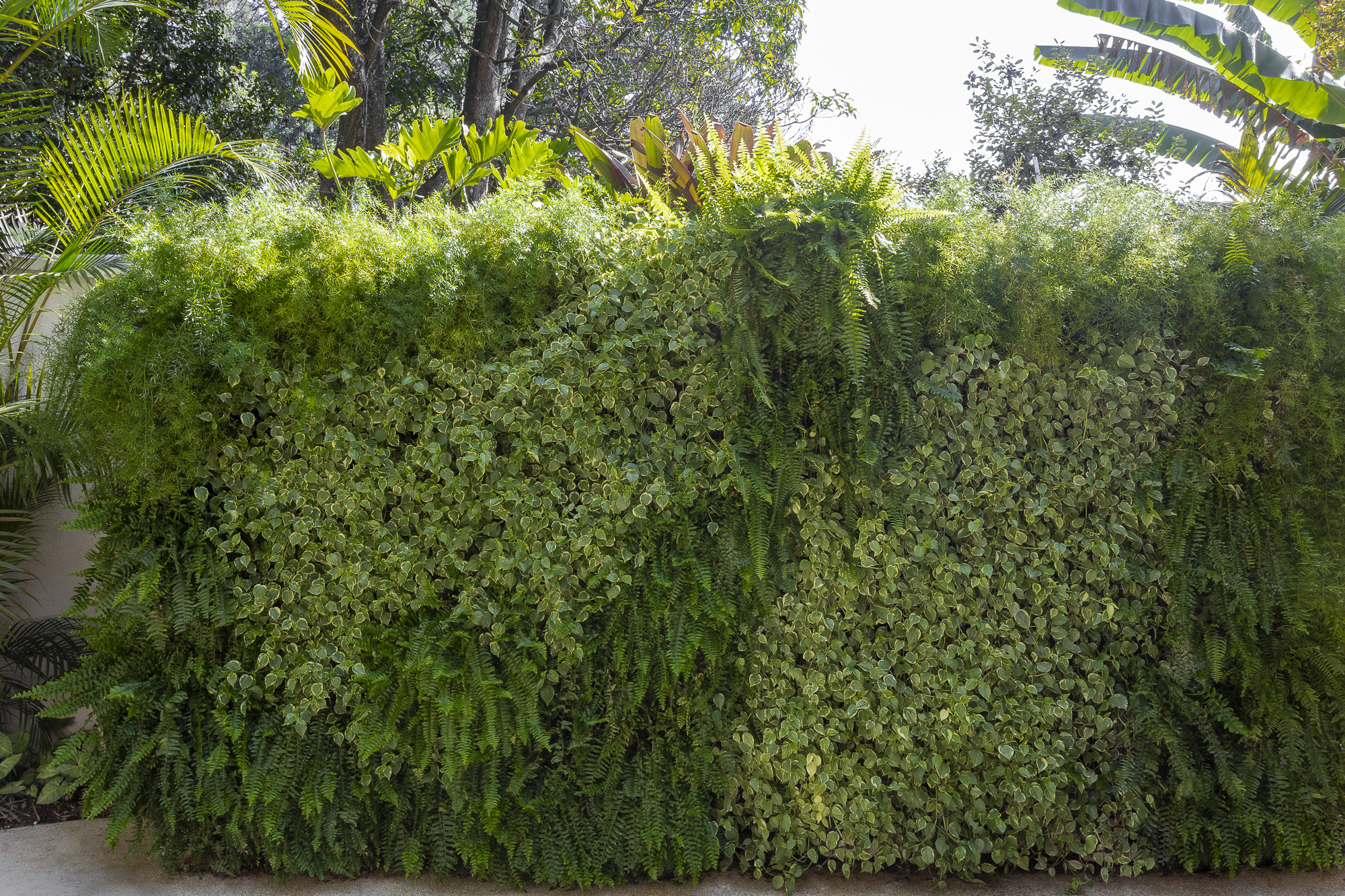 UMDESIGNSTUDIO_JDBROOKLINI_08