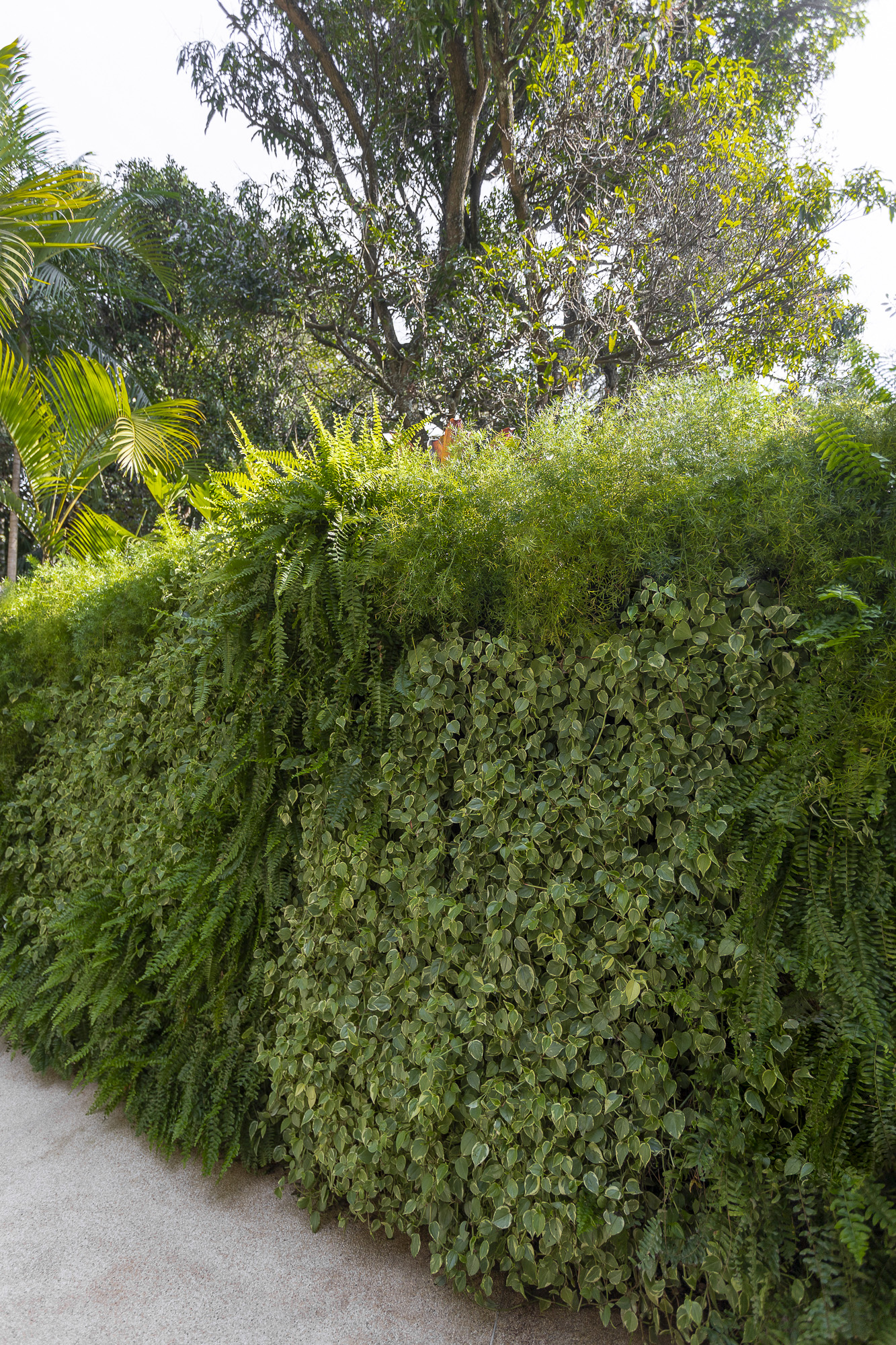 UMDESIGNSTUDIO_JDBROOKLINI_10