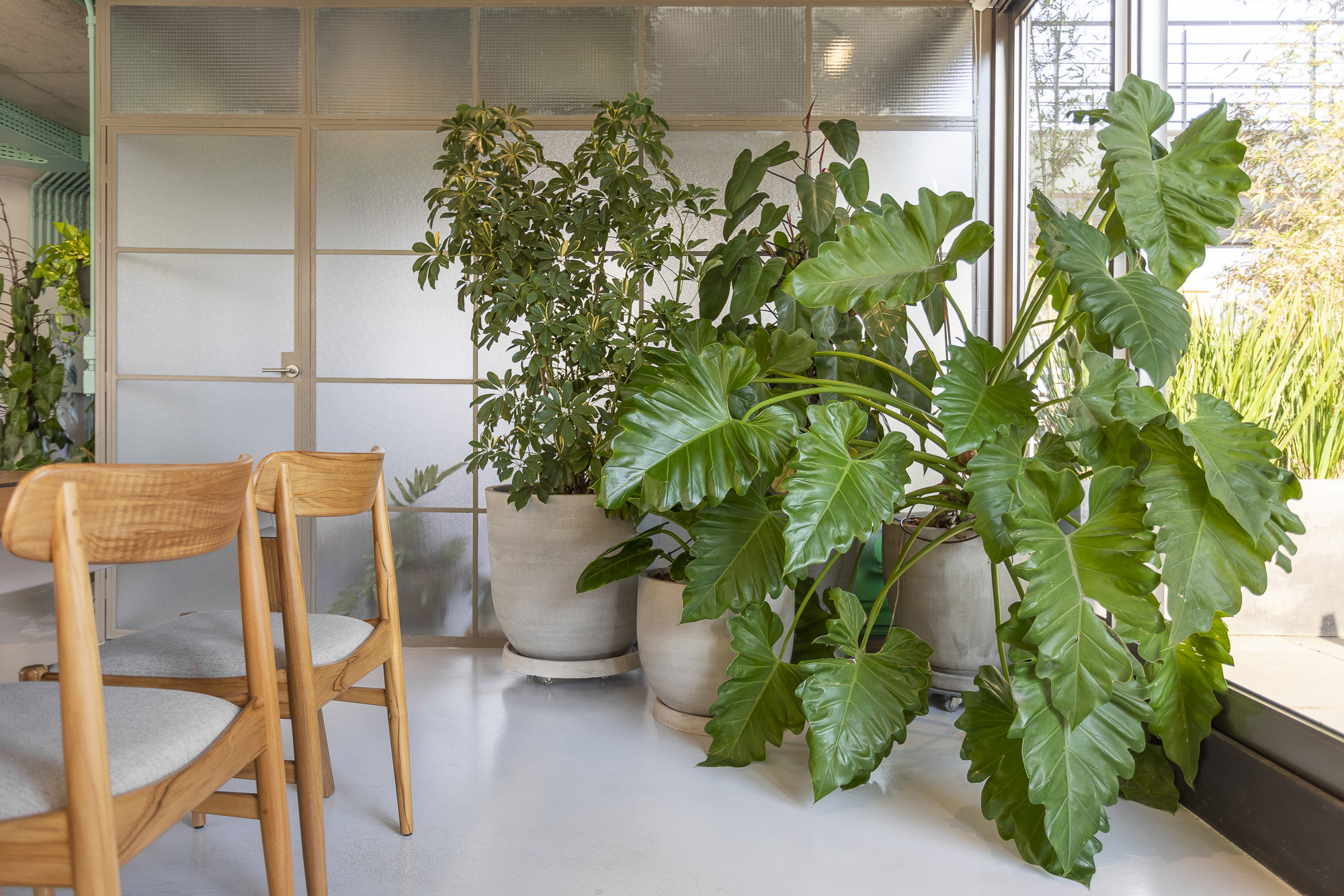 UMDESIGNSTUDIO_RIZOMAII_07