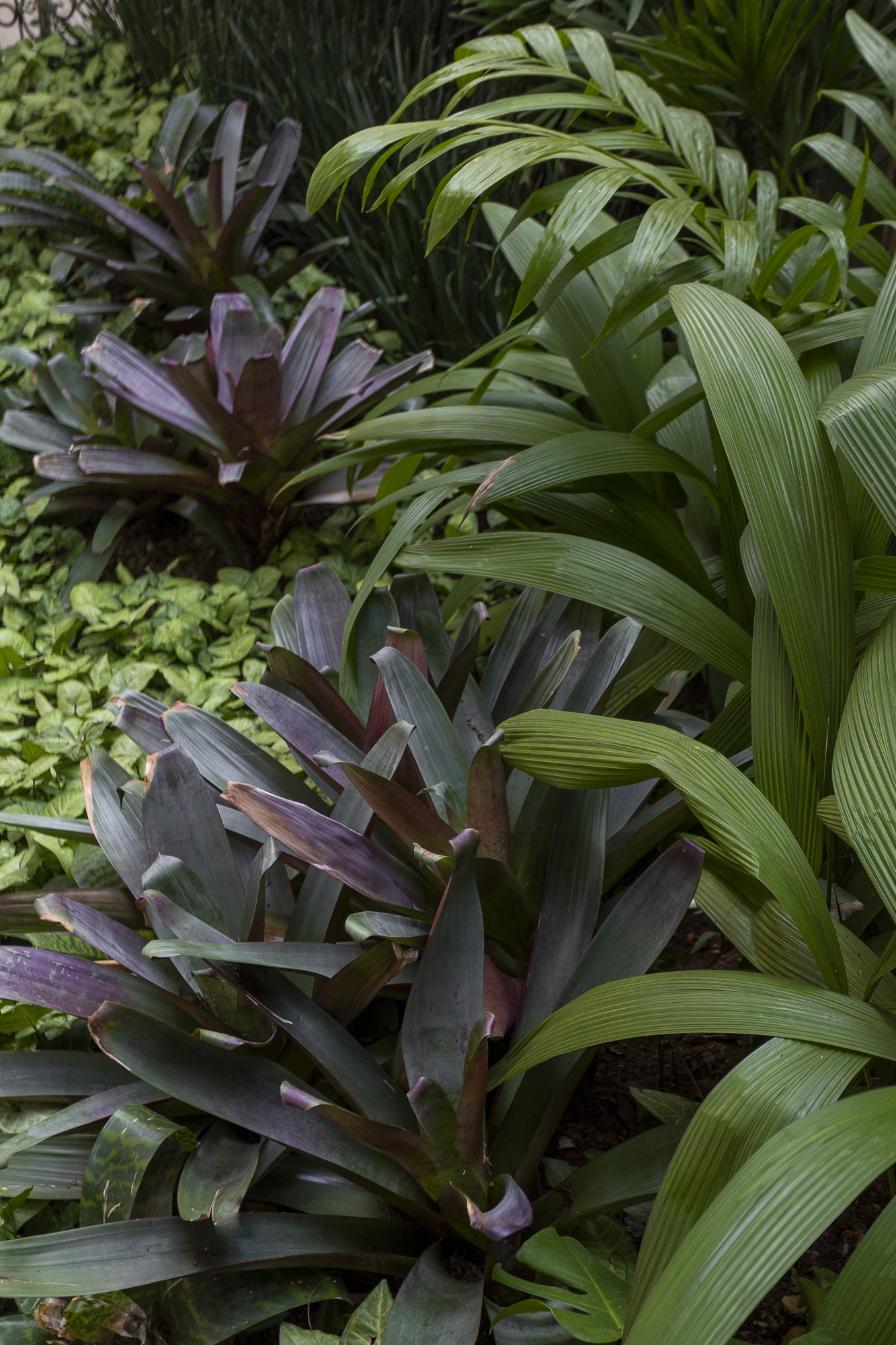 UMDESIGNSTUDIO_JDBROOKLINI_07