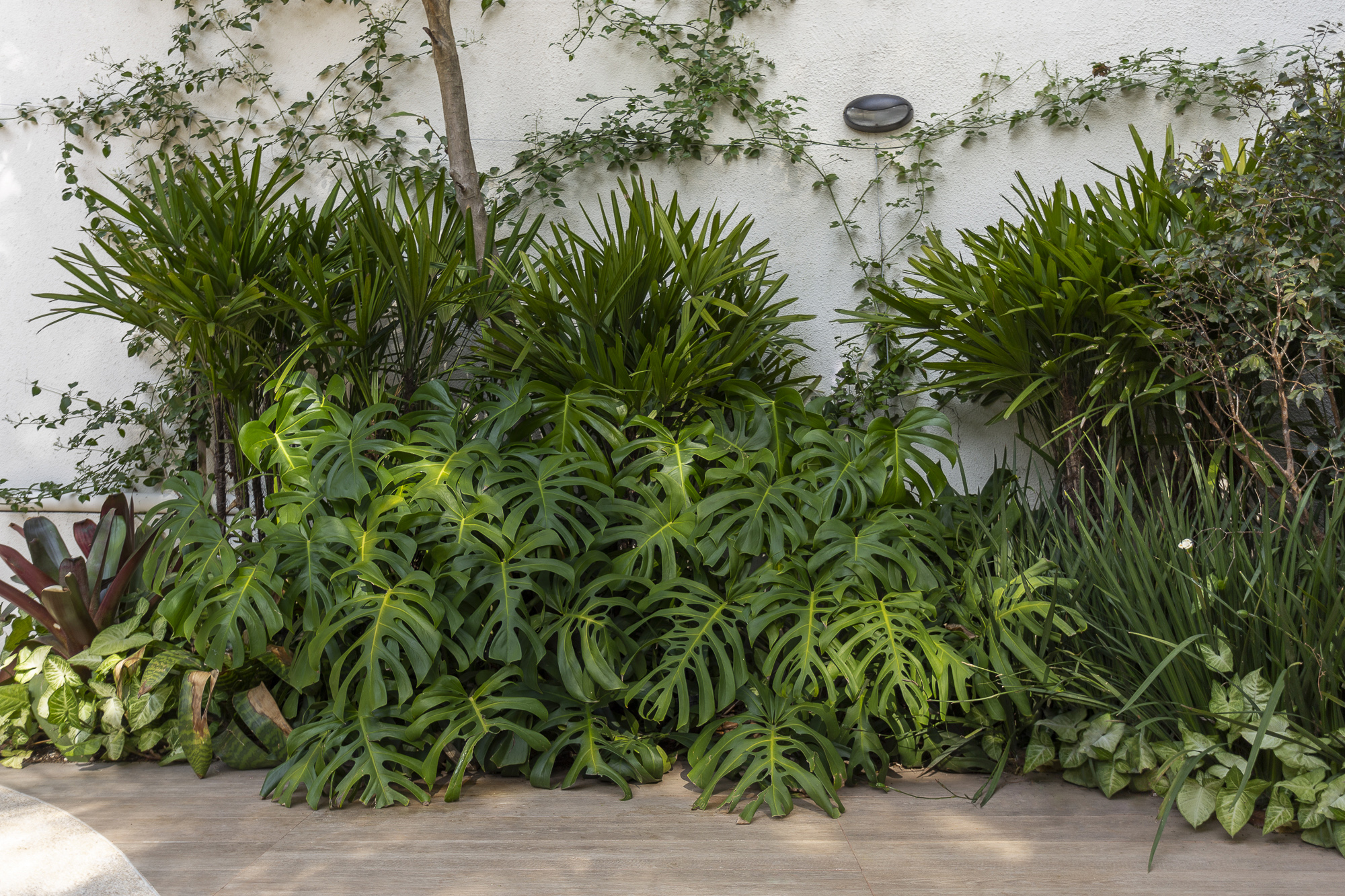 UMDESIGNSTUDIO_JDBROOKLINI_01