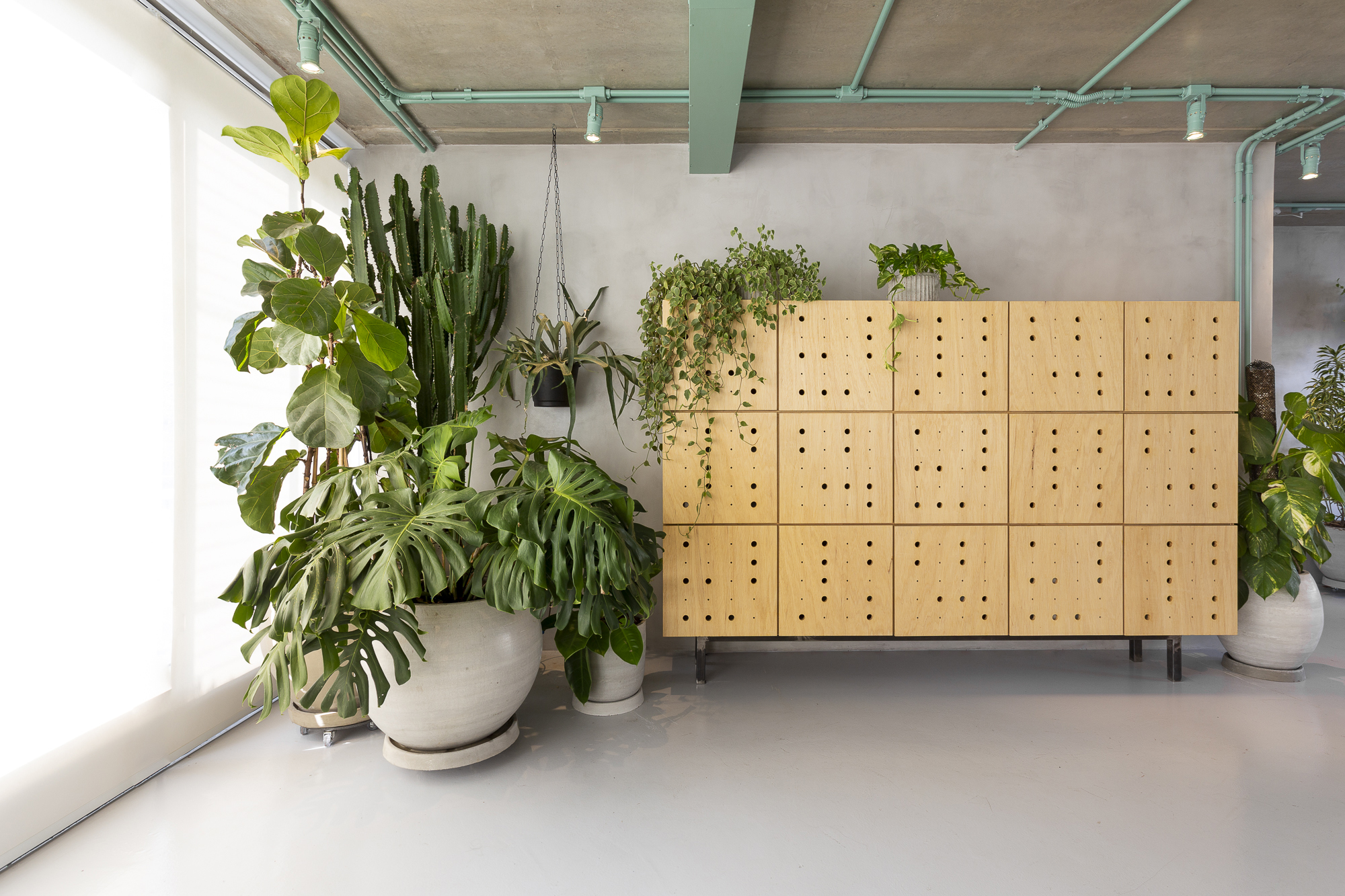 UMDESIGNSTUDIO_RIZOMAII_12