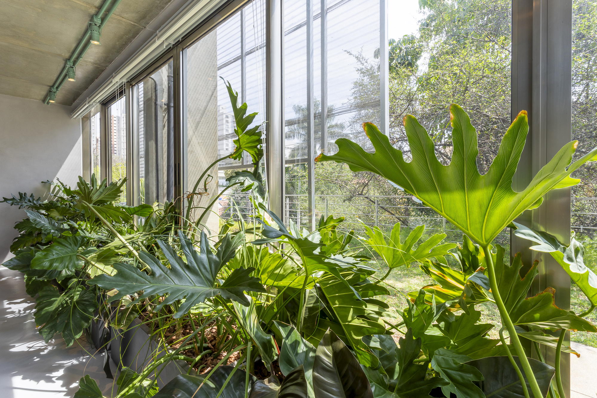 UMDESIGNSTUDIO_RIZOMAII_09