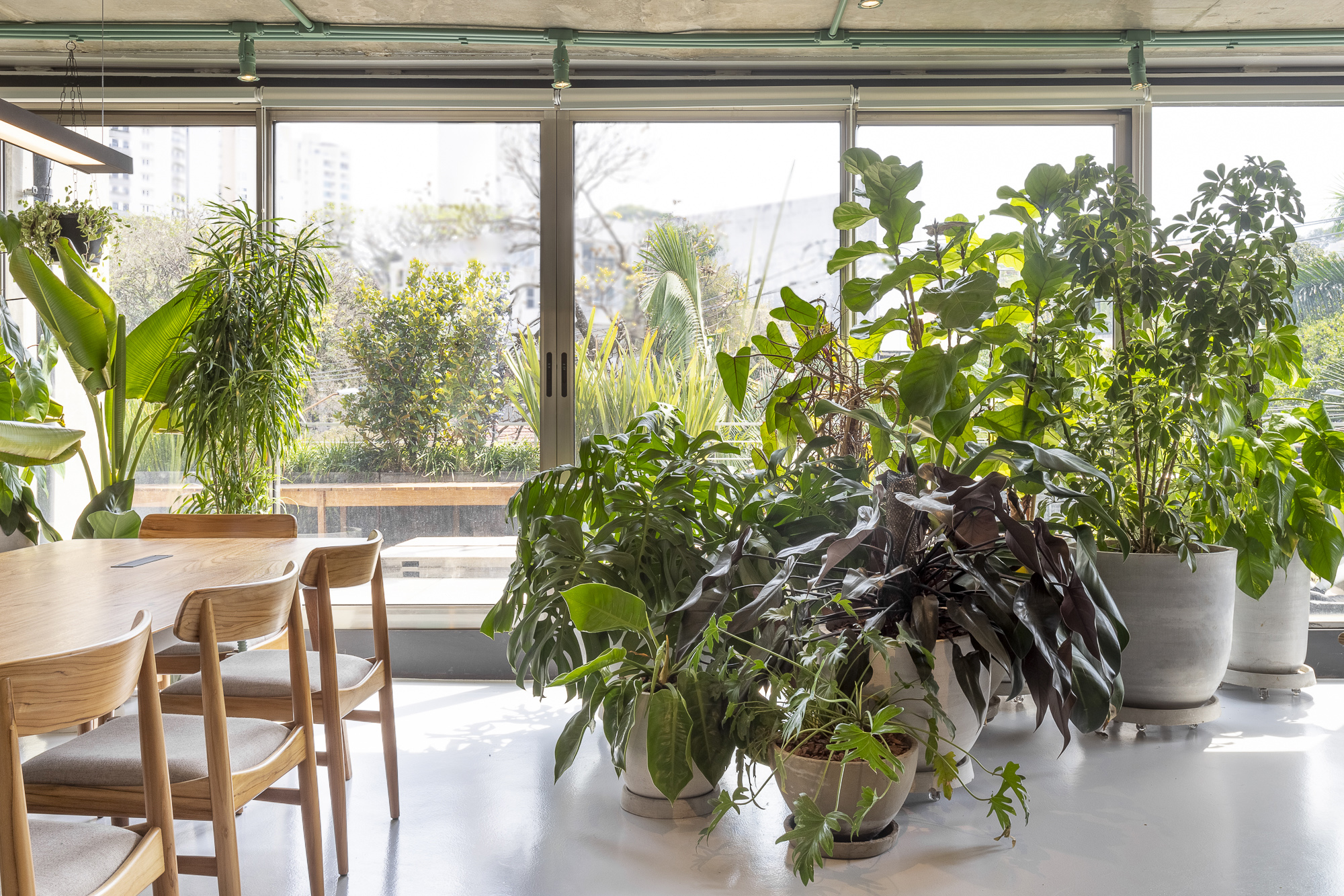 UMDESIGNSTUDIO_RIZOMAII_11