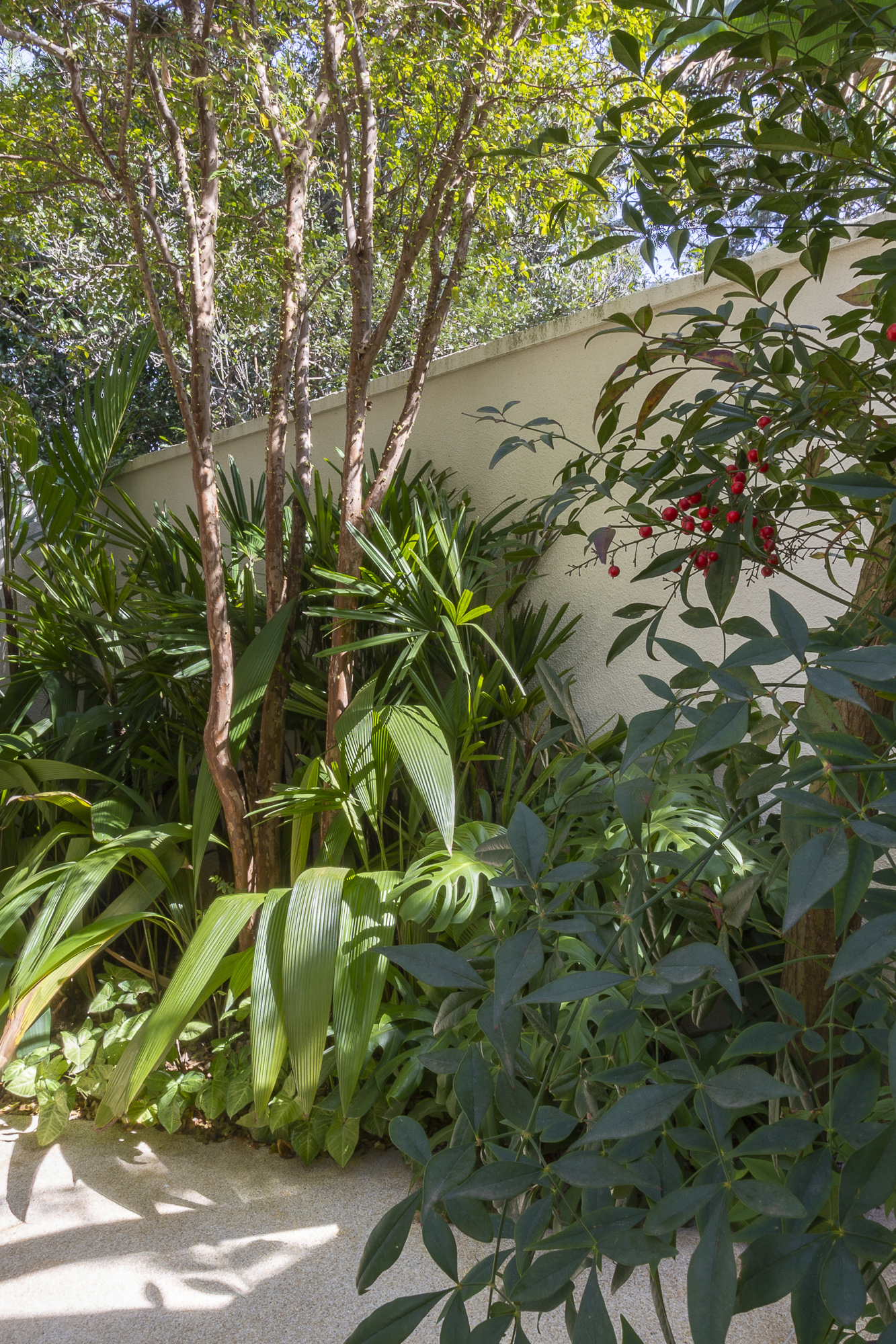 UMDESIGNSTUDIO_JDBROOKLINI_02